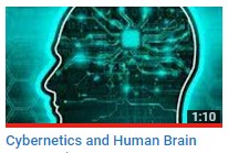 Cybernetics and Human Brain.