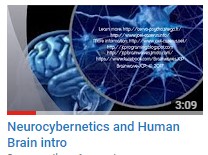 Neurocybernetics and Human Brain intro