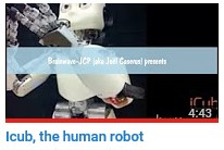 Icub, the human robot 