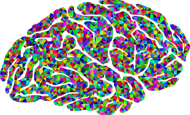 colorbrain